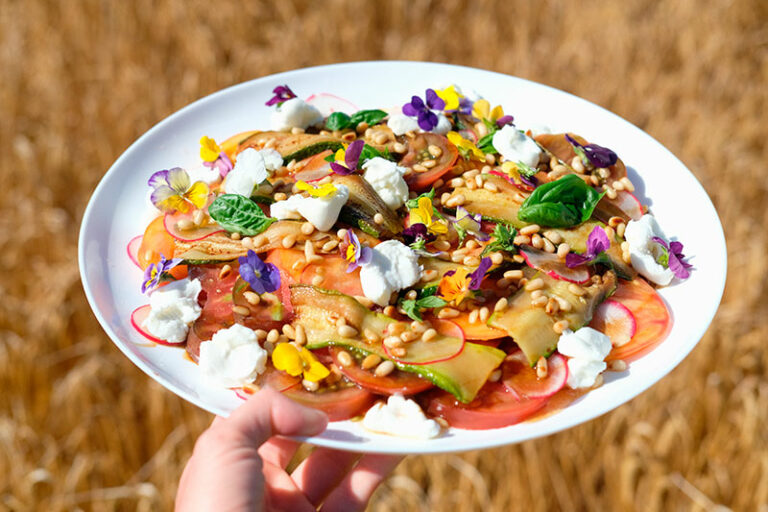 photographie_plat_fond_ble