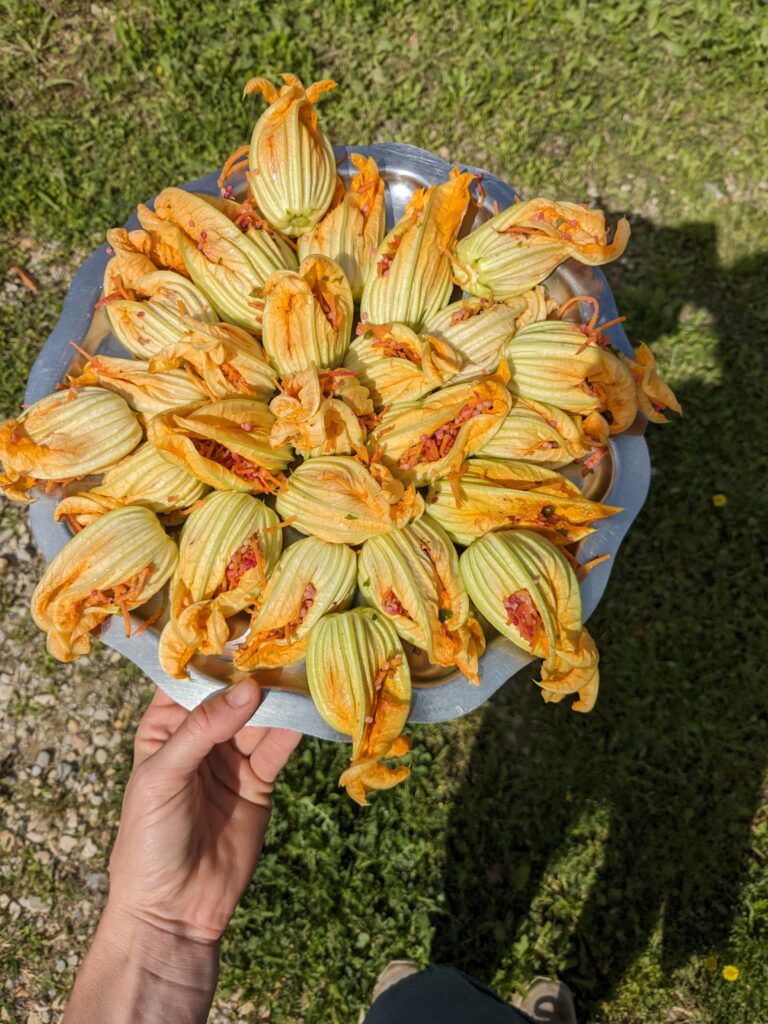 PXL_20240610_084839358